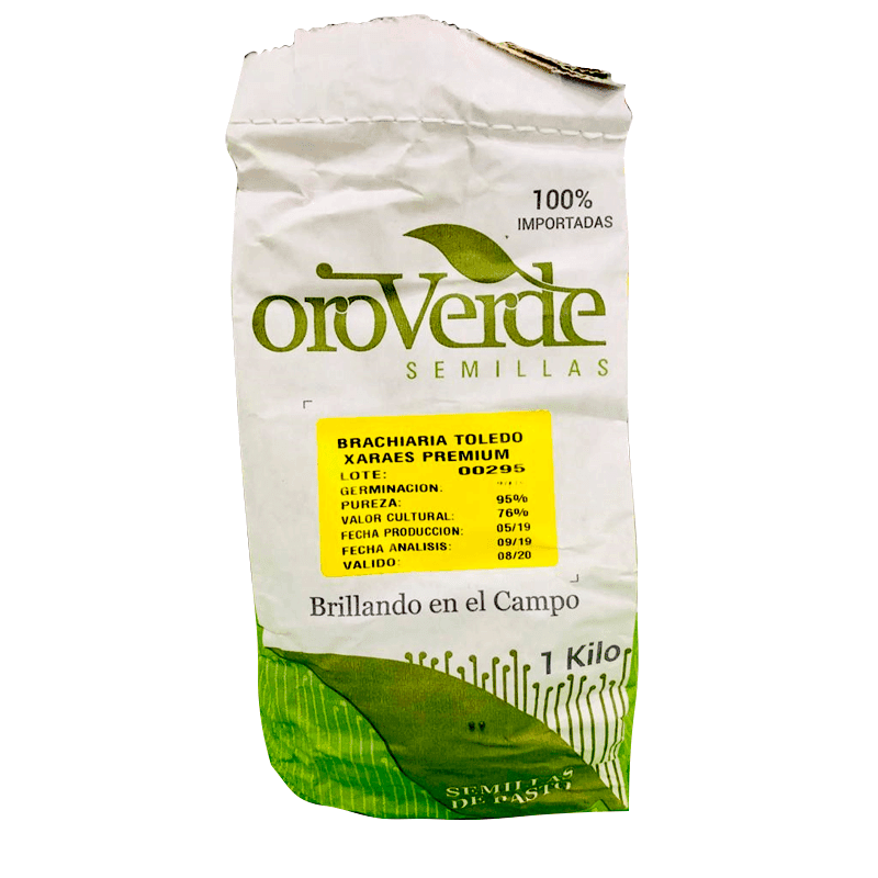 BRACHIARIA TOLEDO PREMIUM KG ORO VERDE
