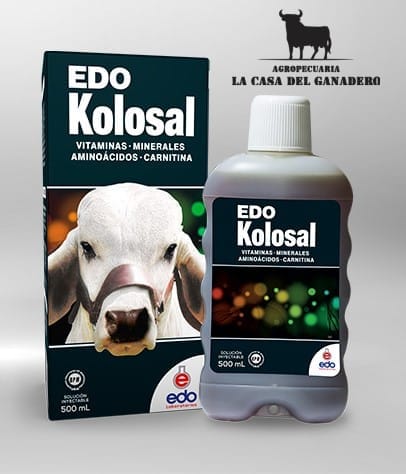 EDO KOLOSAL 500 ML