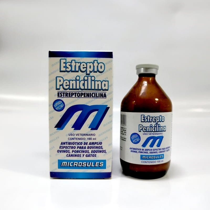 ESTREPTOPENICILINA 100 ML MICROSULES