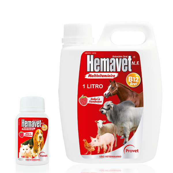 HEMAVET B12 ORAL Multivitaminico NF LITRO PROVET