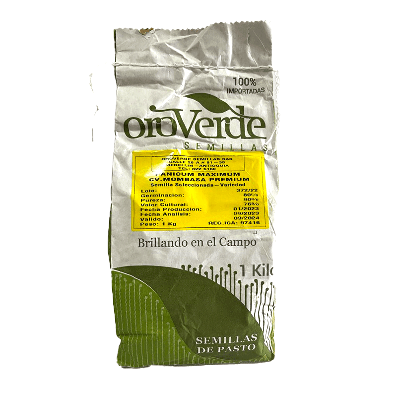 MOMBASA PREMIUM KG ORO VERDE