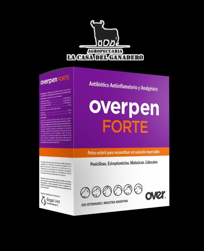 OVERPEN FORTE OVER
