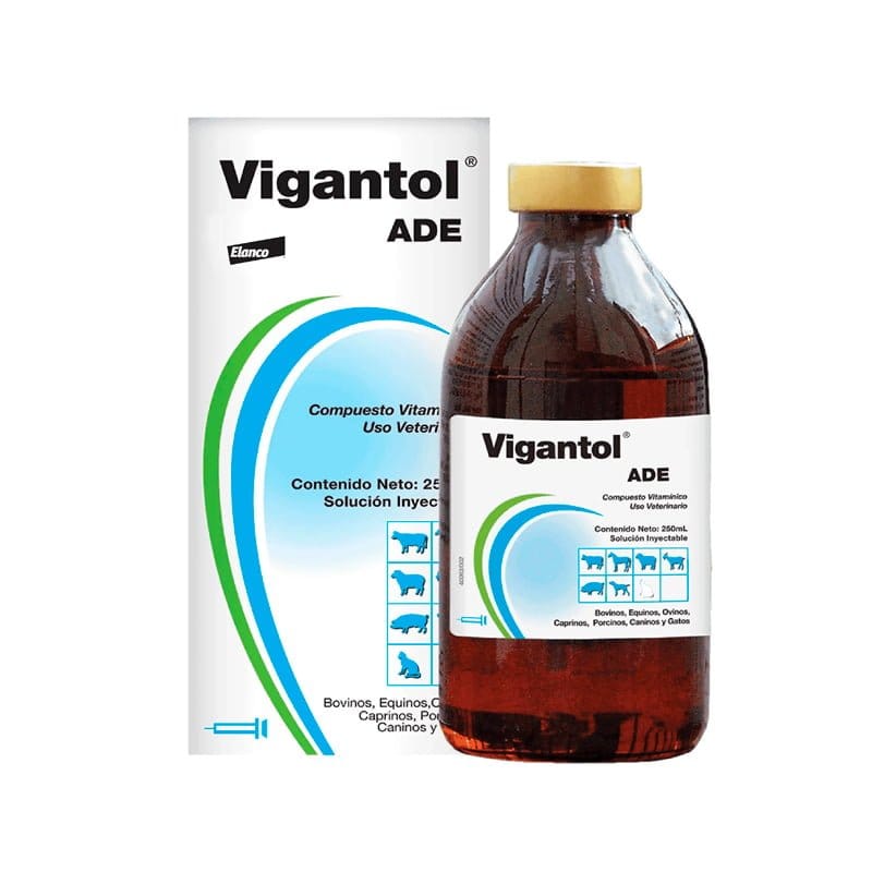VIGANTOL ADE ( FRASCO POR 250 ML)