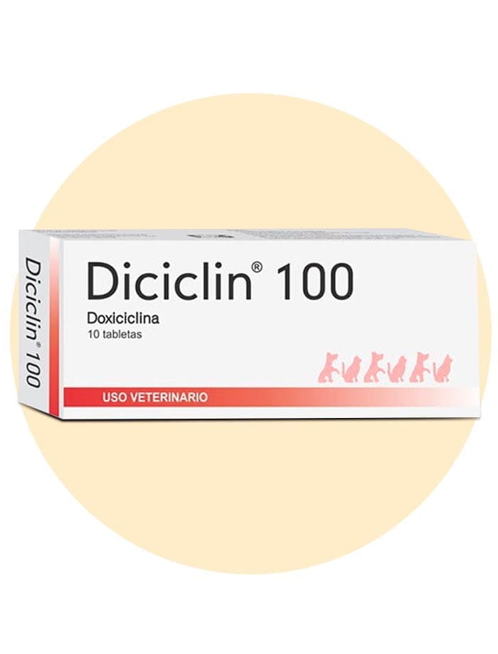 DICICLIN 100 (DOXICICLINA 100 CAJA POR 10 Comprimidos Veterinarios)