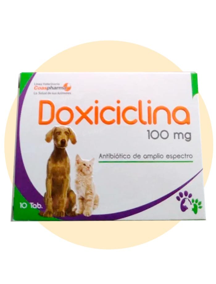 DOXICICLINA 100 MG ( CAJA POR 10 Comprimidos Veterinarios)