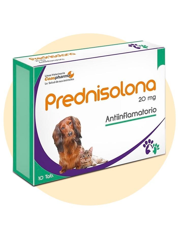 PREDNI ZOO 20 MG x 10 Comprimidos Veterinarios